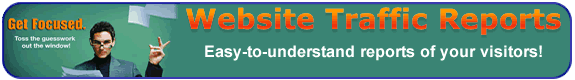 Website Traffic Reports