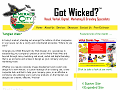 http://www.emeraldcitywebdesign.com/