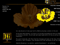 http://www.envisionindia.com/